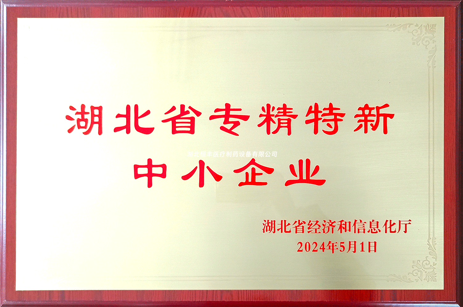 祝賀我司榮獲“湖北省專精特新中小企業(yè)”稱號(hào)！
